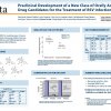 Preclinical development for rsv infections